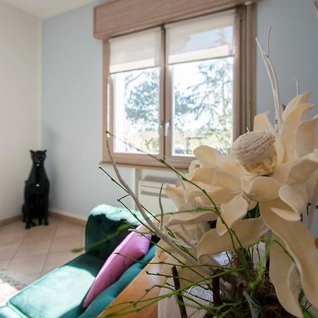 Eco Dolce Casetta B&B Faenza Bagian luar foto